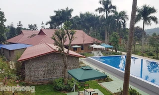 Khu du lịch sinh thái trải nghiệm Yasmin Farm "mọc" trên đất nông nghiệp.