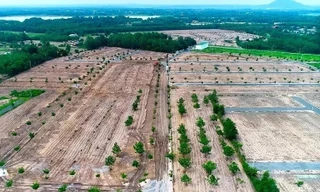 Tâm lý đầu cơ đất đai đã giúp Alibaba huy động 2.500 tỷ đồng