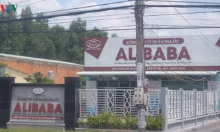 Một "văn phòng" của Alibaba tại huyện Long Thành, Đồng Nai.