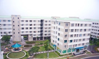 Lãi suất cho người trẻ vay mua nhà hiện ra sao? 