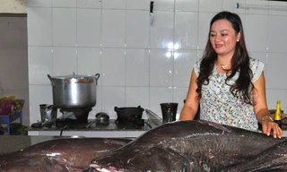 Câu được nhiều cá leo khổng lồ trên sông Sêrêpôk