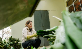 Tổ chức gói 5.000 chiếc bánh chưng giúp gia đình khó khăn đón Tết