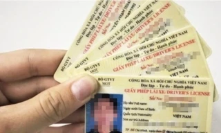 Giấy phép lái xe hạng B1 sẽ không được lái xe ô tô kể từ 1/1/2025