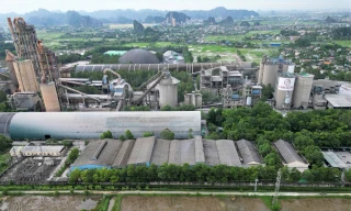 Ninh Bình 'cắt' 38ha rừng tự nhiên cho Nhà máy xi măng Duyên Hà 