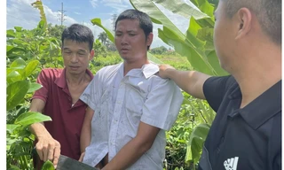 Vờ đi nhờ, rồi dùng dao kề cổ nữ nạn nhân cướp xe máy