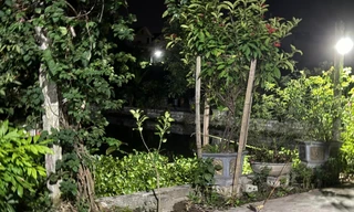 Ba cháu nhỏ trong một gia đình chết đuối dưới ao nhà hàng xóm