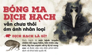 'Bóng ma' dịch hạch ám ảnh nhân loại