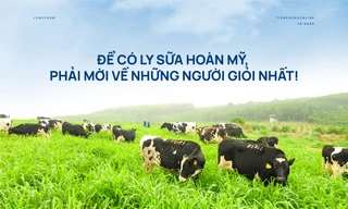'Để có ly sữa hoàn mỹ, phải mời về những người giỏi nhất!'