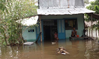 Vỡ đê ở Cần Thơ thiệt hại hàng trăm triệu đồng