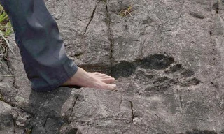 Đây là dấu chân chứng minh cho người khổng lồ?