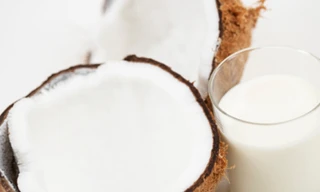 Nước dừa tốt như nước tăng lực