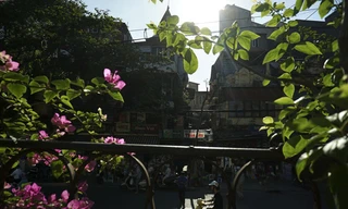 Ánh nắng tạo vẻ đẹp khác lạ cho mùa thu Hà Nội