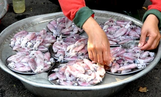 Khu chợ thực phẩm đĩa độc đáo nhất Sài Gòn