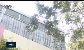 Tự tử vì áp lực học hành: Vì đâu nên nỗi?