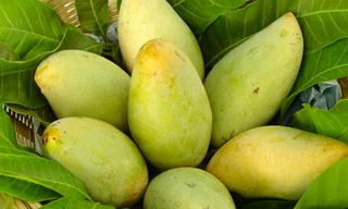 Ảnh minh hoạ: Internet