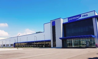 Hoạt động teambuilding