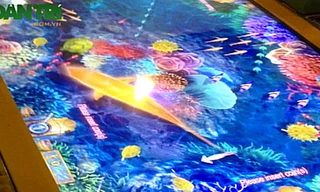 Trò chơi máy bắn cá đang nở rộ tại TP.HCM như một "cơn lốc" 