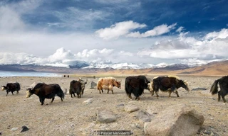 Ngôi làng sống trên 'nóc nhà thế giới'