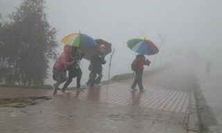 Trời rét đậm học sinh thị trấn Sa Pa vẫn đi học bình thường