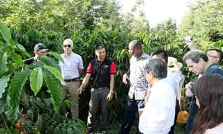 Ông Lê Hồng Thành (thứ hai bên trái qua) giới thiệu vườn cà phê canh tác theo quy chuẩn cà phê quốc tế 4C của mình với ông Lương Văn Tự, Chủ tịch VICOFA và đoàn công tác quốc tế