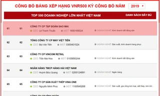 Sao Mai Group lọt TOP 100 doanh nghiệp lớn nhất Việt Nam 2019