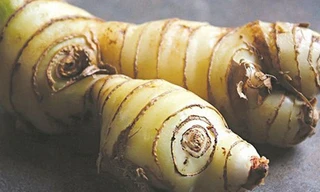 Bài thuốc từ củ riềng chữa nhiều bệnh 