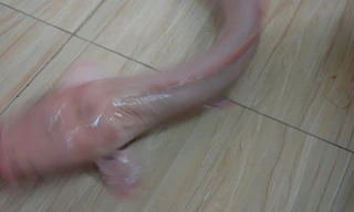 Con cá trê trắng anh Thiện câu được