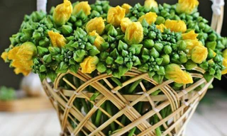 5 món ngon từ hoa mướp bổ dưỡng không ngờ