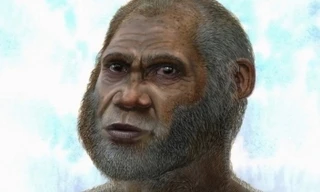 Người cổ đại. (Ảnh minh họa: Phys.org).