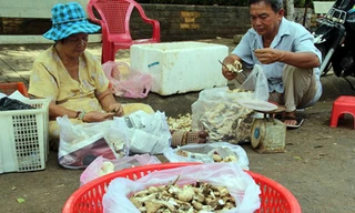 Vợ chồng bà Hai là tiểu thương quen thuộc ở chợ Long Khánh mỗi khi có đợt nấm mối. Ảnh: Phước Tuấn/VnExpress