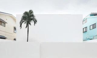 Ngôi nhà trắng 'không tỳ vết' ở Nhật