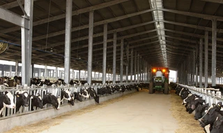 Đầu tư lớn cho nông nghiệp công nghệ cao, tập đoàn TH đã đạt được những thành tựu lớn