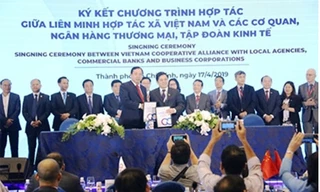 Agribank hỗ trợ tích cực cho hợp tác xã tăng trưởng bền vững