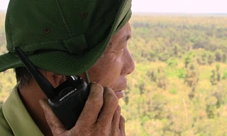 Nguy cơ cao cháy rừng U Minh Hạ