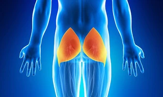 Tại sao ngồi nhiều có thể gây teo cơ?