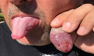 Sinh vật hình lưỡi người dạt vào bãi biển Australia. Ảnh: Cahra Swarrin.