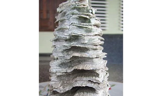 Vật thể lạ nghi “hàm răng voi ma mút”.