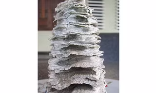 Vật thể lạ nghi “hàm răng voi ma mút”.