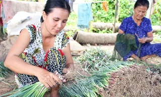 Nghề “làm đẹp” hành lá không phân biệt lứa tuổi.