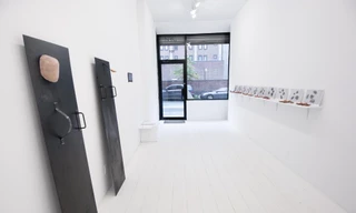 Organon- triển lãm solo của nghệ sỹ trẻ Việt tại Mỹ