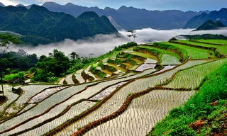Vẻ đẹp ruộng bậc thang xứ Thanh