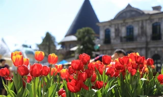 Đến Bà Nà Hills xem nghệ sỹ châu Âu kể chuyện cổ tích về các loài hoa