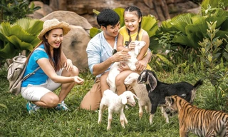 Các công tác giáo dục công chúng về tầm quan trọng của chăm sóc và bảo tồn động vật hoang dã luôn được chú trọng tại Vinpearl Safari