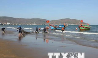 Ảnh minh họa: Ly Kha/TTXVN