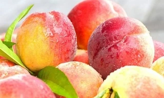 Những loại quả mùa hè dễ bị ngâm hóa chất nhất chợ