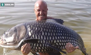 Ảnh: Palmtreelagoon