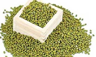 Đậu xanh còn được sử dụng làm thuốc cả cây, lá, rễ và hạt. 