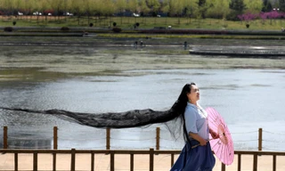 Cộng đồng mạng chia sẻ 20 bức ảnh độc đáo năm 2017