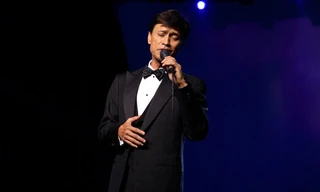 Nhiều nghệ sĩ hải ngoại về nước biểu diễn sau Tết