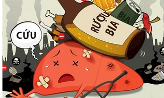 Gan dễ gặp tổn thương do các yếu tố bên ngoài 